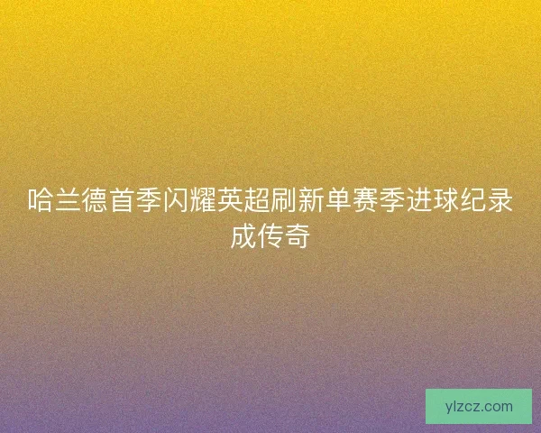 哈兰德首季闪耀英超刷新单赛季进球纪录成传奇